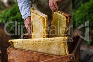 Beekeeper working on bee hive