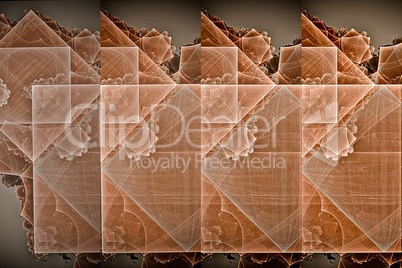 Fractal images : beautiful pattern on a grey background.