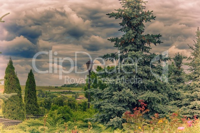 Summer landscape in cloudy weather.