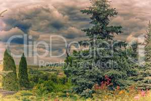 Summer landscape in cloudy weather.