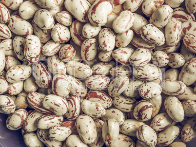 Cranberry beans vintage desaturated