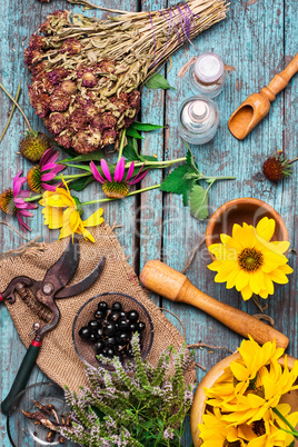 Set of medicinal herbs