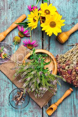 Set of medicinal herbs