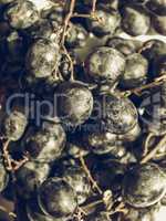 Grape picture vintage desaturated