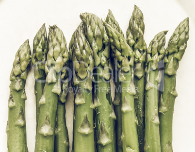 Asparagus vegetable vintage desaturated