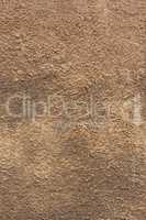 brown seamless stucco texture