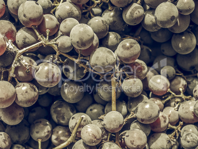 Red grape fruits vintage desaturated