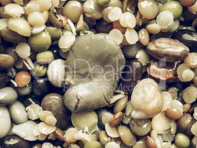 Beans vegetable salad vintage desaturated