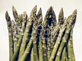 Green Asparagus vegetables vintage desaturated