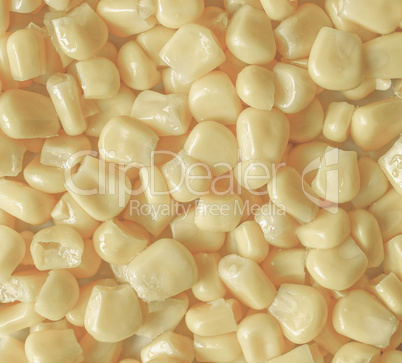 Maize corn vintage desaturated