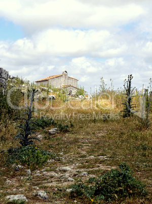 Abandoned Rural Farmhouse in Ronda Malaga