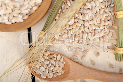 organic wheat grains