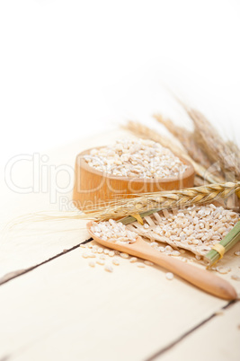 organic barley grains