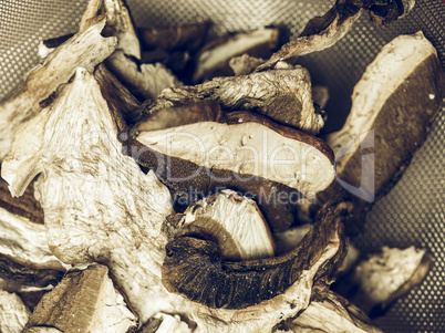 Porcini mushroom detail vintage desaturated