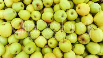 background of green apples
