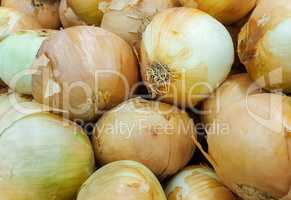 Fresh onions in the market