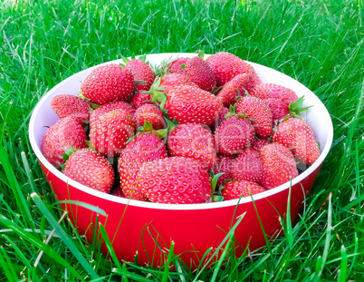 Strawberries on plate