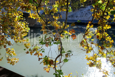 Tiber (Rom, Italien) im Herbst