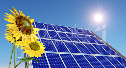 Solarmodul und Sonnenblumen