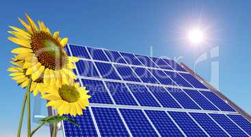 Solarmodul und Sonnenblumen