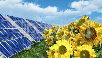 Solarmodule und Sonnenblumen