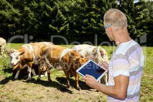 Young farmer with cattle
