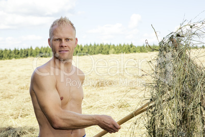 Man turns hay in the meadow