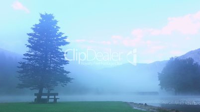 Morning Mist on Forest Lake