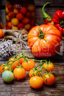 harvest summer tomatoes