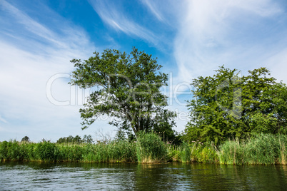 Landschaft an der Peene bei Loitz