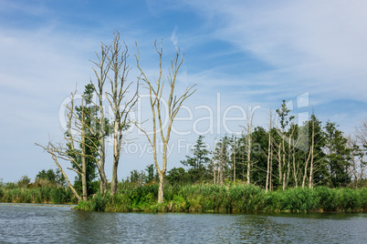 Landschaft an der Peene bei Loitz