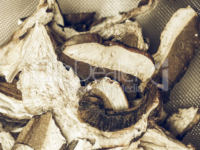 Porcini mushroom detail vintage desaturated