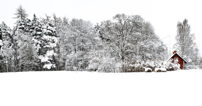 Swedish Home in Winter