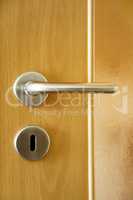 Door with door handle and lock
