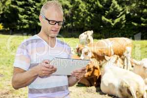 Young farmer with cattle