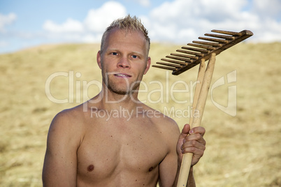 Man in meadow with wooden rake
