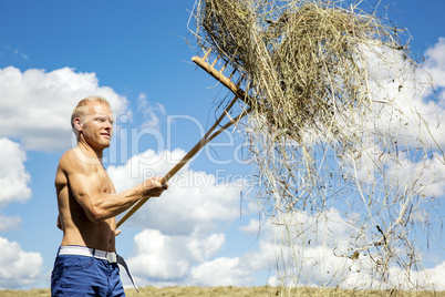 Man turns hay in the meadow