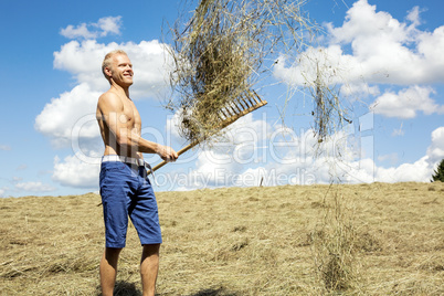 Man turns hay in the meadow