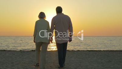 Loving senior couple enjoying sunset over sea