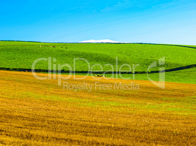 Cardross hill HDR