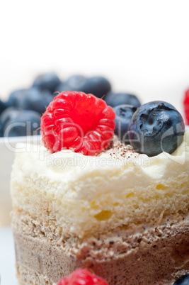 fresh raspberry and blueberry cake