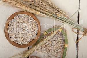 organic wheat grains