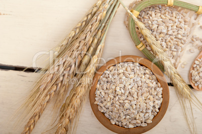 organic wheat grains