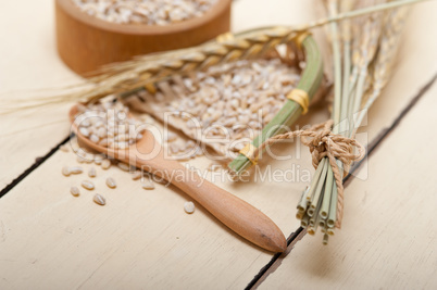 organic wheat grains