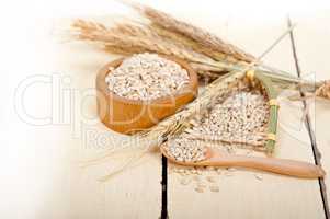 organic wheat grains
