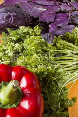 Vegetables and fresh herbs