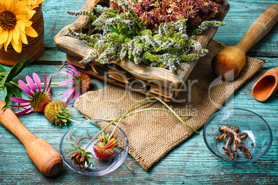 Harvest of medicinal plants