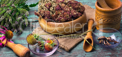 Harvest of medicinal plants