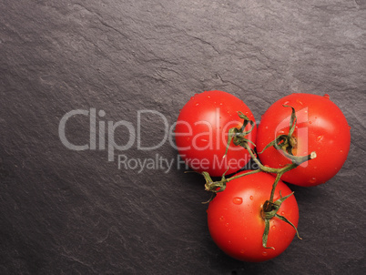 Fresh organic tomatoes on dark slate