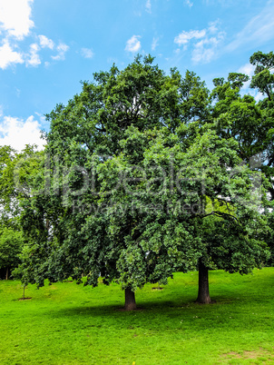 Kensington gardens London HDR